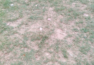 Land For Rent in Sampatchak