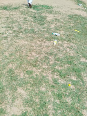  Land – Garden View at Sampatchak - for Rent