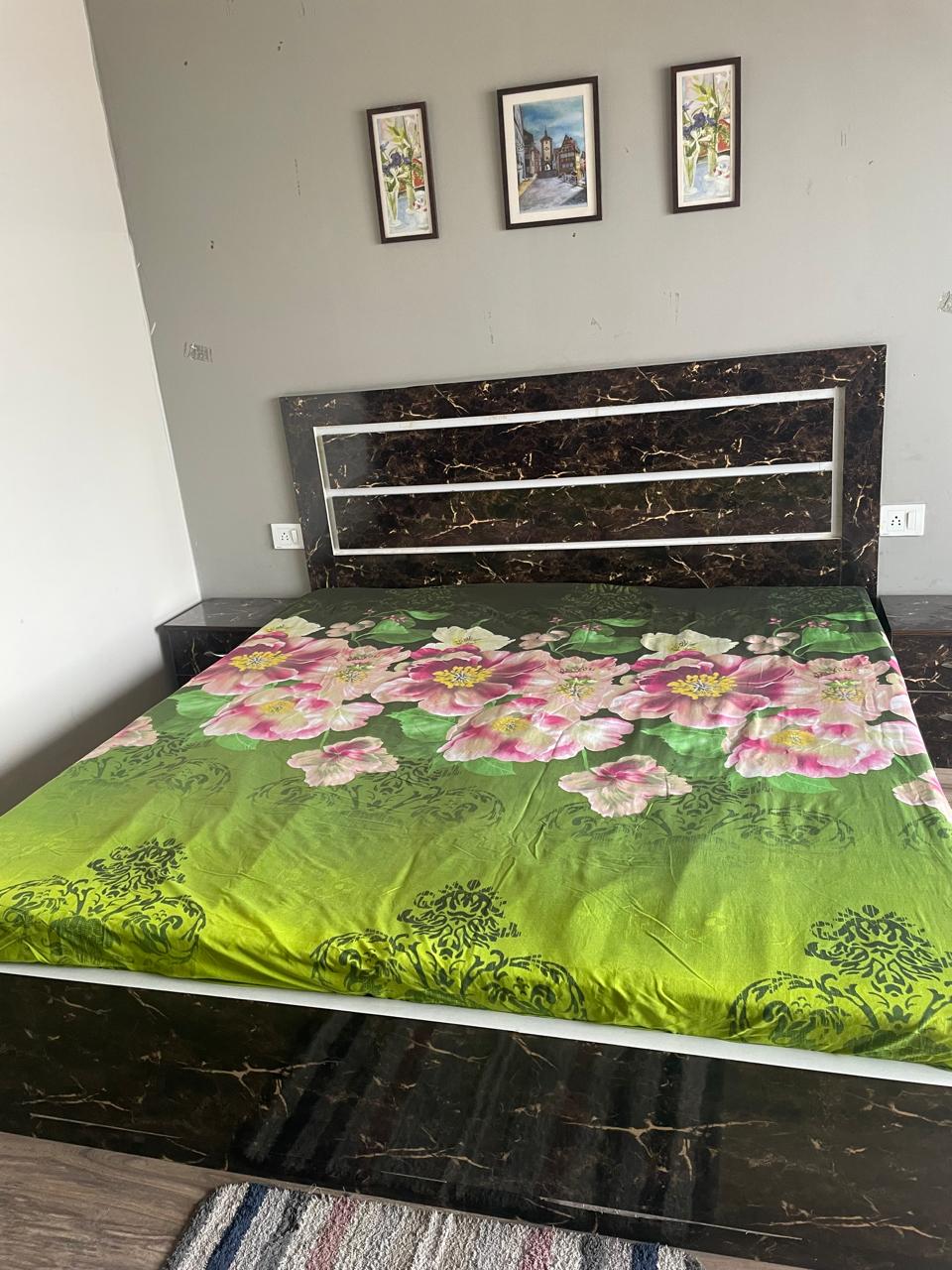 1 BHK 435 Sq.Ft. Apartment in Paramount Golfforeste