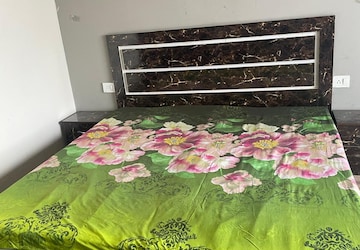 1 BHK Apartment For Rent in Paramount Golfforeste, Zeta I Greater Noida