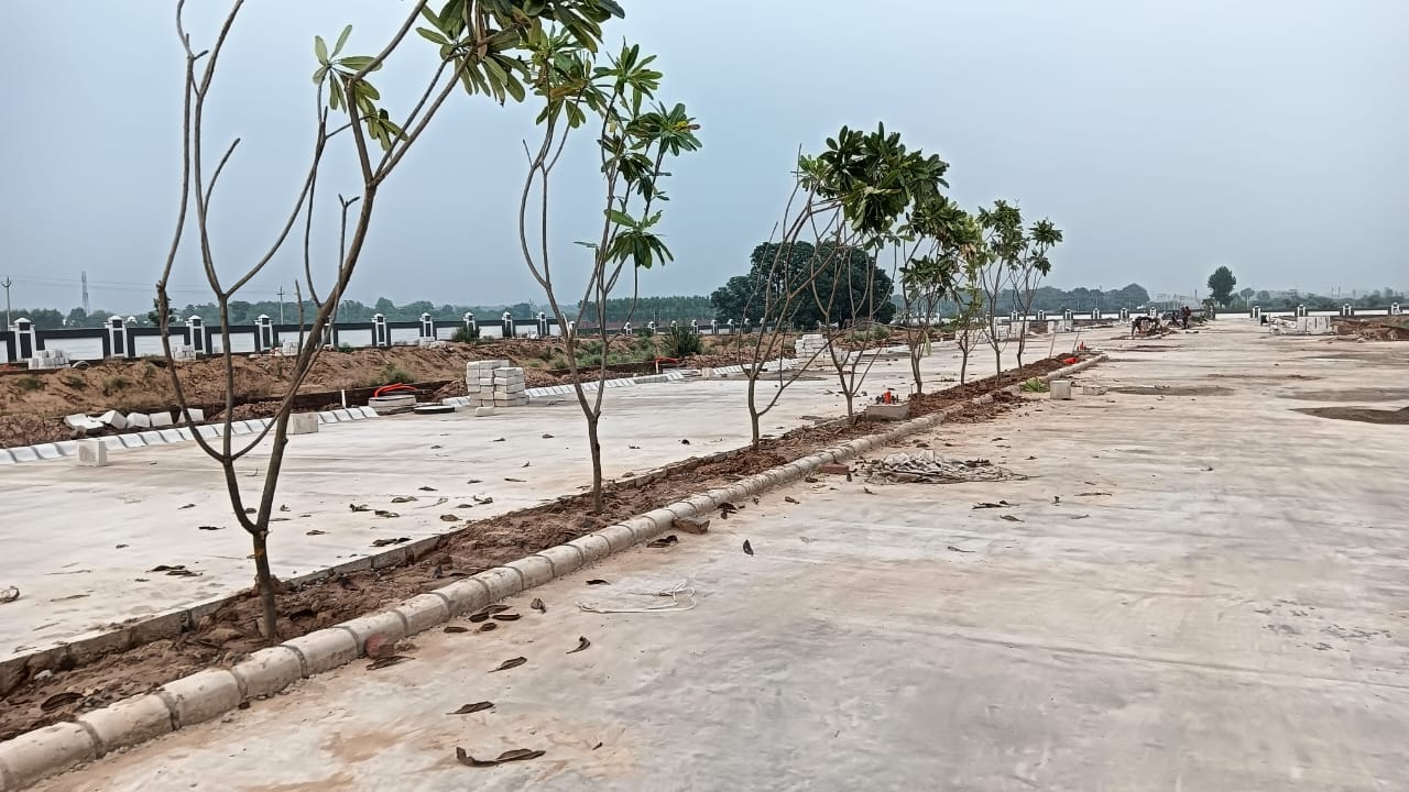 Plot For Sale in Panchkula Urban Estate