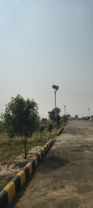 Plot Area in  Plot at Tappal – for Sale