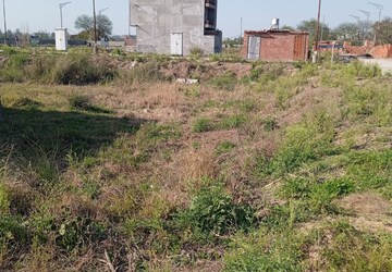 Plot Area in  Plot at Sector 127 – for Sale
