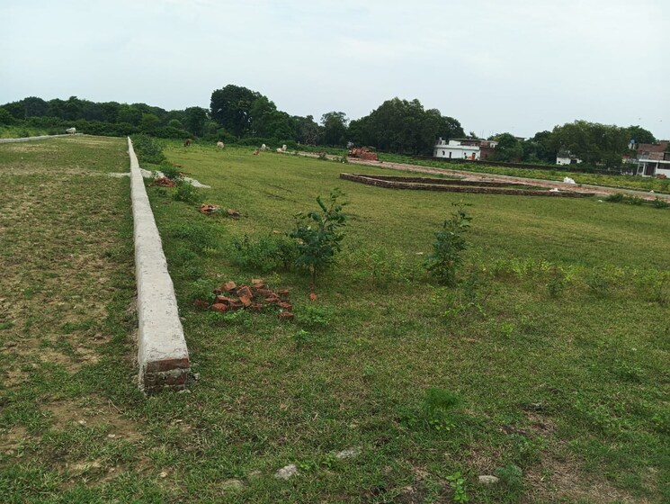 undefined, chinhat  1000000 Sq.Ft. Plot In Chinhat Lucknow 9350774