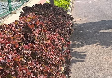 Plot – Exterior View View at Bannerghatta - for Sale