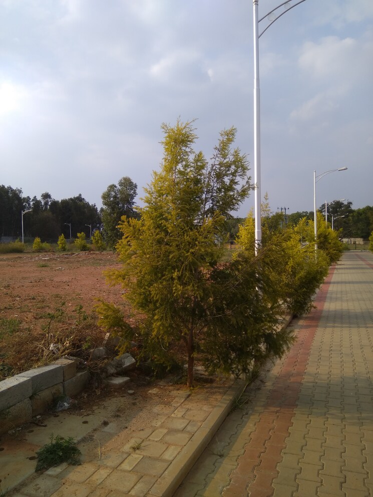 Garden, chandapura  1500 Sq.Yd. Plot In Chandapura Bangalore 9350908