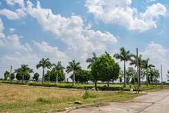 Plot For Sale in Infocity 