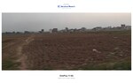 700 Sq.Yd. Plot in Sikri