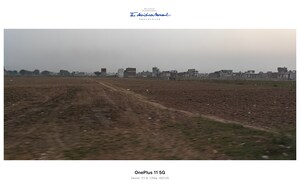 Plot Area in  Plot at Sikri – for Sale