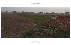 Plot Area in  Plot at Sikri – for Sale