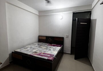 1 BHK Builder Floor For Rent in Saket