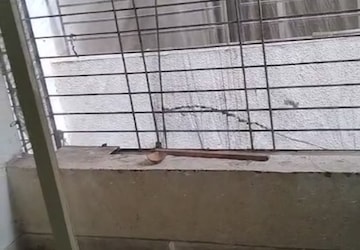 Balcony in 1 BHK Builder Floor at Narhe – for Rent