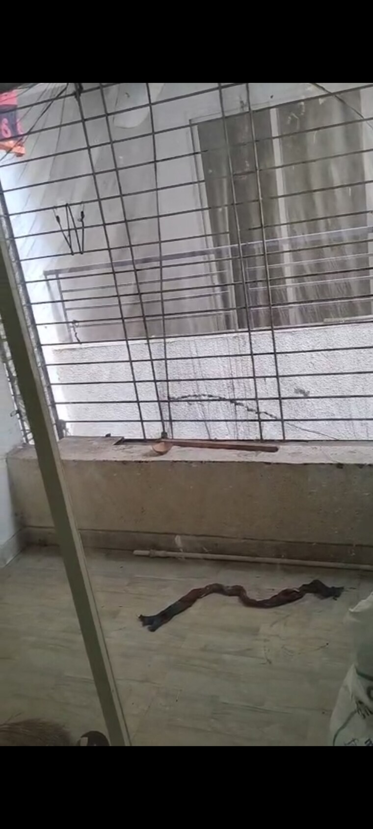 Balcony, narhe 1 Bedroom 650 Sq.Ft. Builder Floor In Narhe Pune 9351403