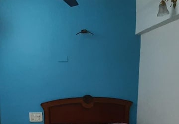 Furnished Amenities in 1 BHK Apartment at Matunga West – for Rent