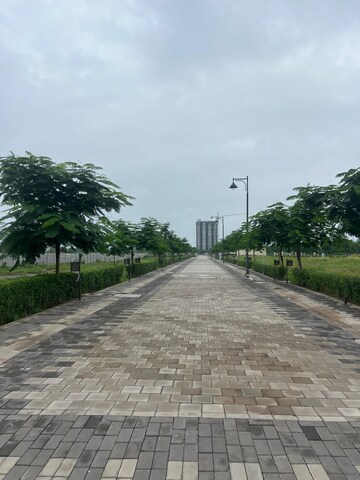 Plot Area in  Plot at Sector 84 – for Sale