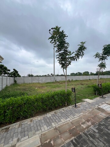 Plot Area in  Plot at Sector 84 – for Sale