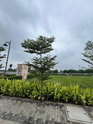  Plot – Exterior View View at Sector 84 - for Sale