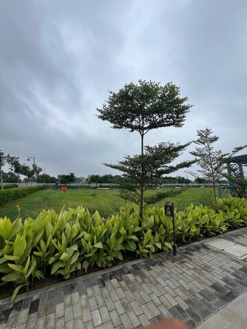 Plot Area in  Plot at Sector 84 – for Sale