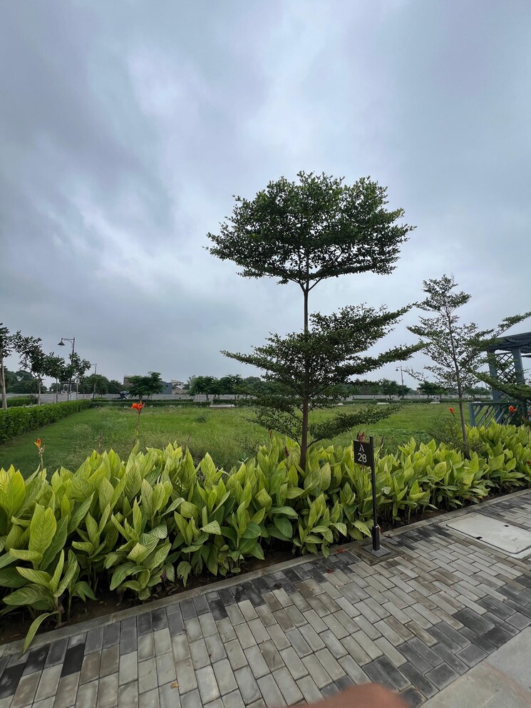 undefined, sector 84  118 Sq.Yd. Plot In Sector 84 Faridabad 9351900