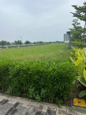 Plot Area in  Plot at Sector 84 – for Sale