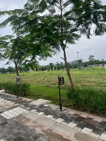Plot Area in  Plot at Sector 84 – for Sale