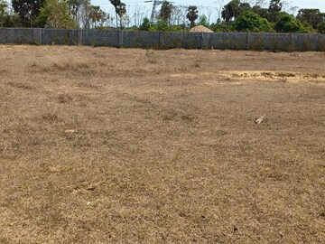 Plot For Sale in Kothavalasa