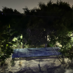 3 BHK Independent House – Exterior View View at RWA Apartments Sector 52, Arun Vihar - for Rent