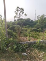 250 Sq.Yd. Plot in Sector 80