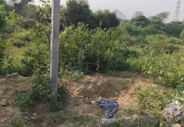 Plot Area in  Plot at Sector 80 – for Sale