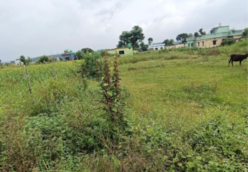 Plot Area in  Plot at Shimla Bypass Road – for Sale