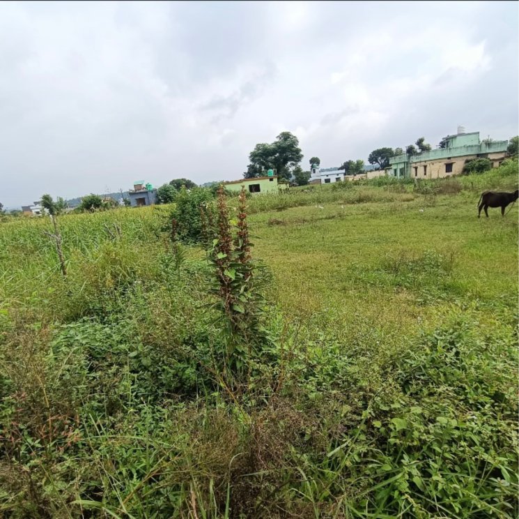 undefined, shimla bypass road  234 Sq.Yd. Plot In Shimla Bypass Road Dehradun 9353373