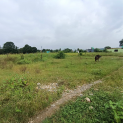 Plot For Sale in Keshuwala