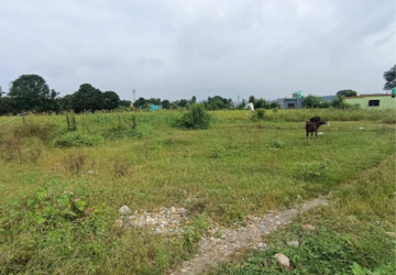 Plot For Sale in Shimla Bypass Road