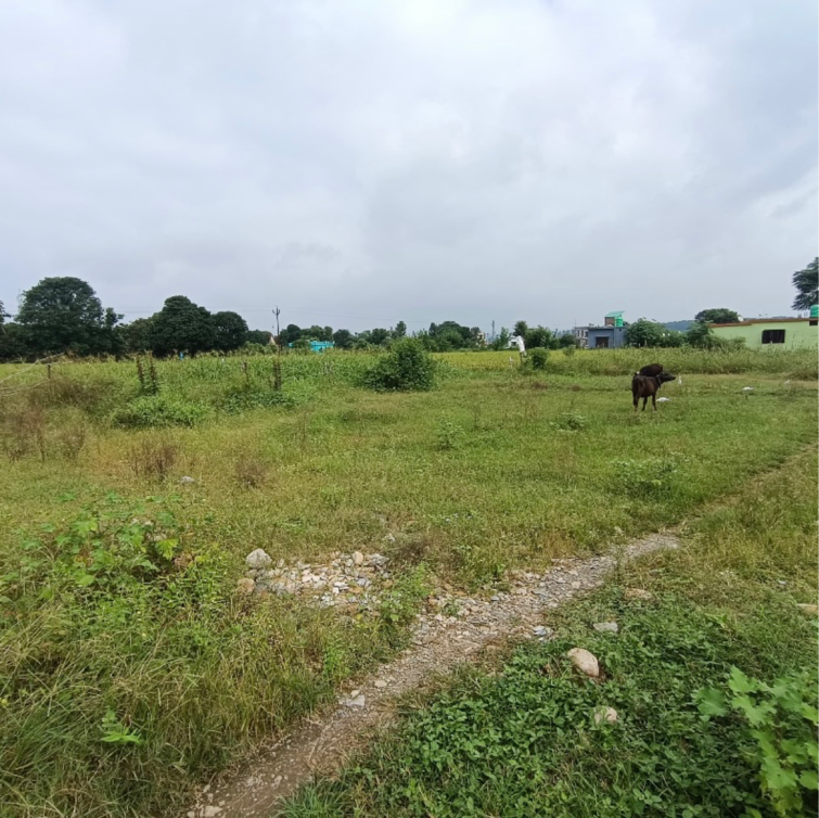 Cover Image, shimla bypass road  234 Sq.Yd. Plot In Shimla Bypass Road Dehradun 9353373