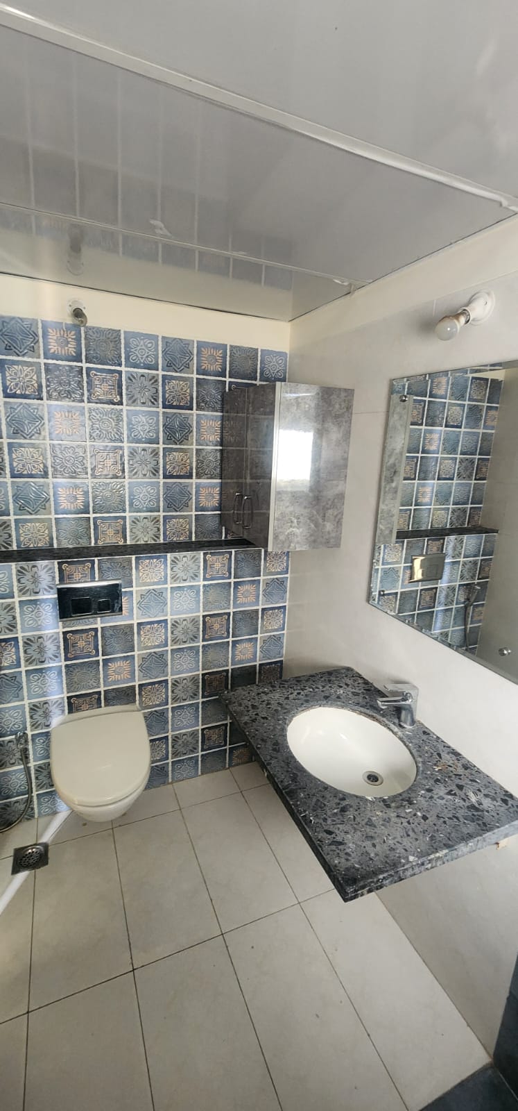 3 BHK + Pooja Room Apartment For Sale in Aparna Serene Park