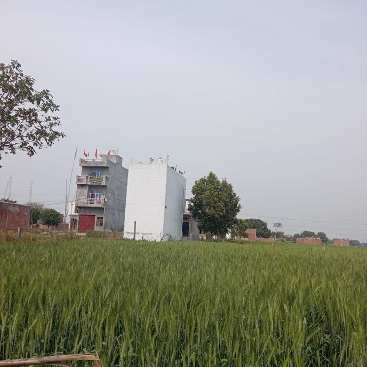 undefined, joka  1440 Sq.Ft. Plot In Joka Kolkata 9353790