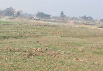 Plot Area in  Plot at Joka – for Sale