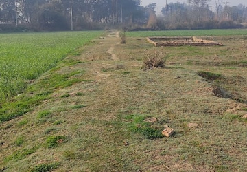 Plot Area in  Plot at Joka – for Sale