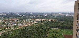 Plot Area in 2 BHK Apartment at Bhartiya Nikoo Homes, Thanisandra Main Road – for Rent