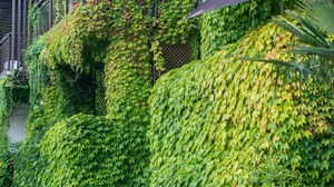 4 BHK Apartment – Garden View at Shapoorji Pallonji Kingstown, Hadapsar - for Sale