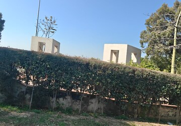 Plot Area in  Plot at Kumhari – for Sale