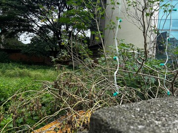 Plot Area in  Plot at Indiranagar – for Sale