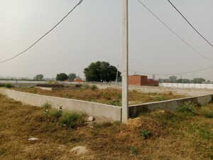 Plot Area in  Plot at Saimari – for Sale