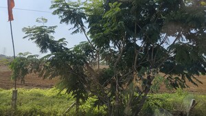  Plot – Garden View at Shathabdhi Silver Springs Grand, Keshampet - for Sale