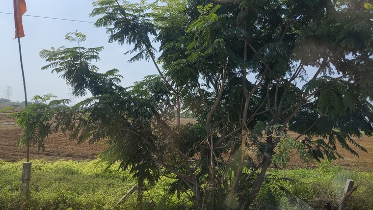 Garden, shathabdhi-silver-springs-grand  162 Sq.Yd. Plot In Keshampet Hyderabad 9354545