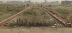 1001 Sq.Ft. Plot in -