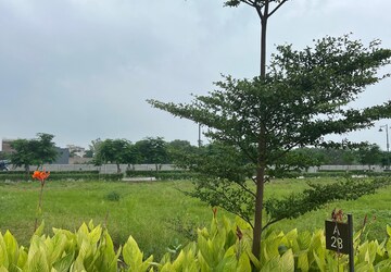 Plot – Garden View at Morta - for Sale