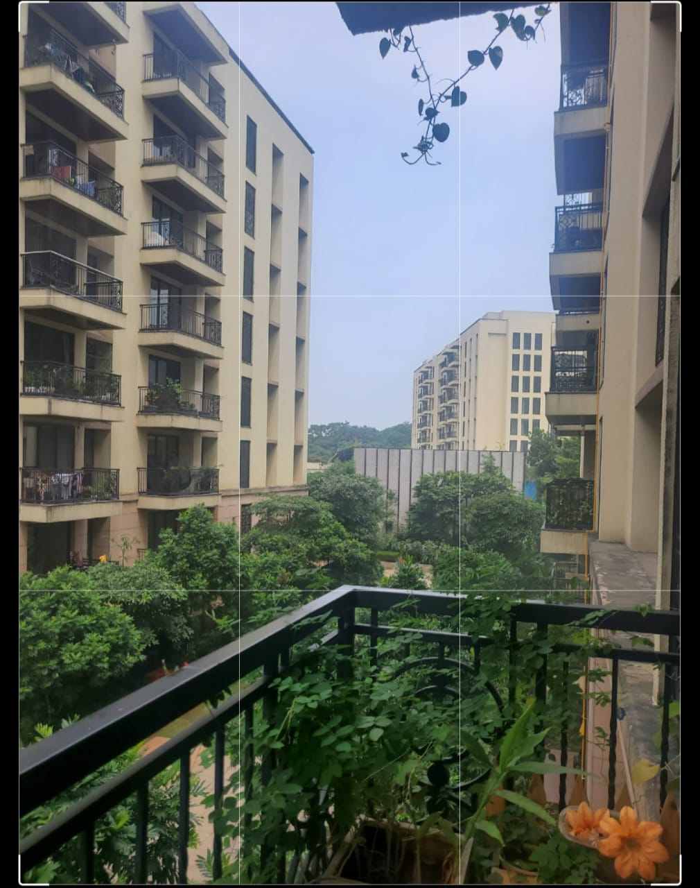 3 BHK + Pooja Room Apartment For Rent in Lodha Sterling