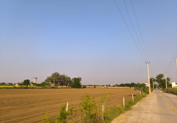 Plot Area in  Land at Garden 28, Pataudi – for Sale