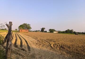 Plot Area in  Land at Garden 28, Pataudi – for Sale
